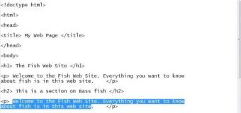 HTML Tutorial for Beginners – 01 – Creating the first web page