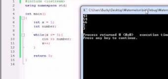 Buckys C++ Programming Tutorials – 19 – Simple Program Using a Loop