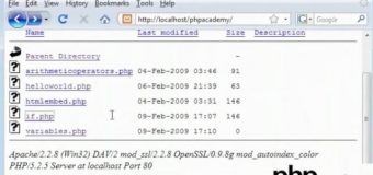Variables (PHP Tutorial)