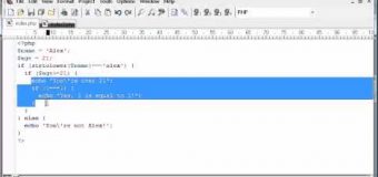Beginner PHP Tutorial – 8 – Indentation