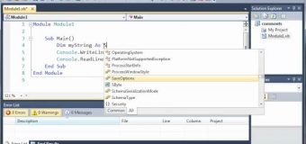 Visual Basic Tutorial – 8 – Variables