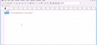 Beginner PHP Tutorial – 10 – print