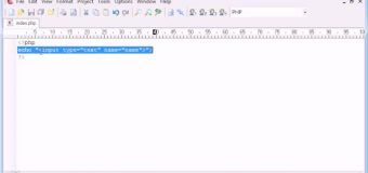 Beginner PHP Tutorial – 11 – Output HTML Using echo/print