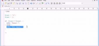 Beginner PHP Tutorial – 24 – Triple Equals