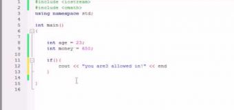 Buckys C++ Programming Tutorials – 26 – Logical Operators