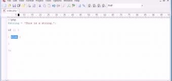 Beginner PHP Tutorial – 44 – Expression Matching