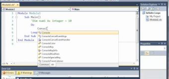 Visual Basic Tutorial – 35 – The Infinte Loop