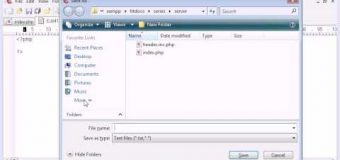 Beginner PHP Tutorial – 61 – $_SERVER Variables: Script Name
