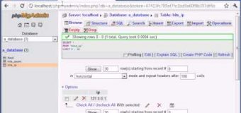 Beginner PHP Tutorial – 126 – Creating a Database Hit Counter Part 4