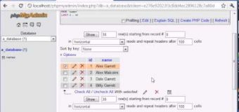 Beginner PHP Tutorial – 130 – LIKE With a Search Engine Example Part 1