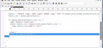 Beginner PHP Tutorial – 133 – LIKE With a Search Engine Example Part 4