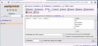 Beginner PHP Tutorial – 155 – SQL Injection Part 5
